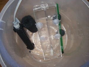 水槽から取り外したヒーター　スポンジプレフィルター　バブルストッパー　シャワーパイプ
