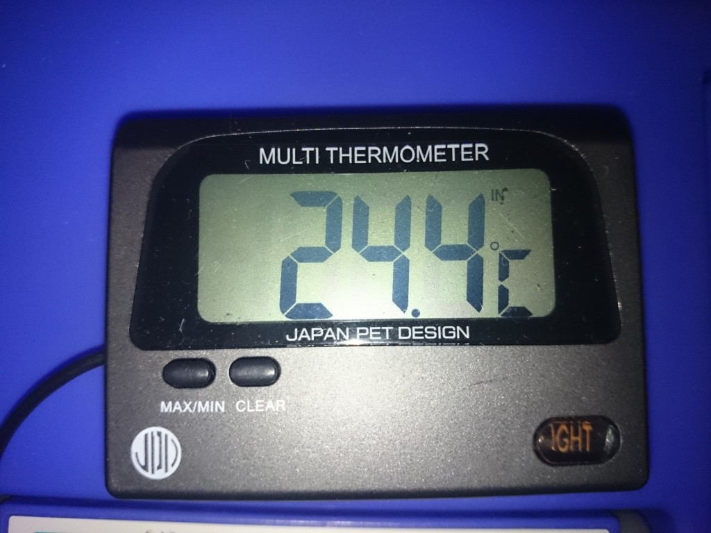 デジタル水温計　摂氏測定